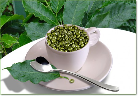 Caffè verde